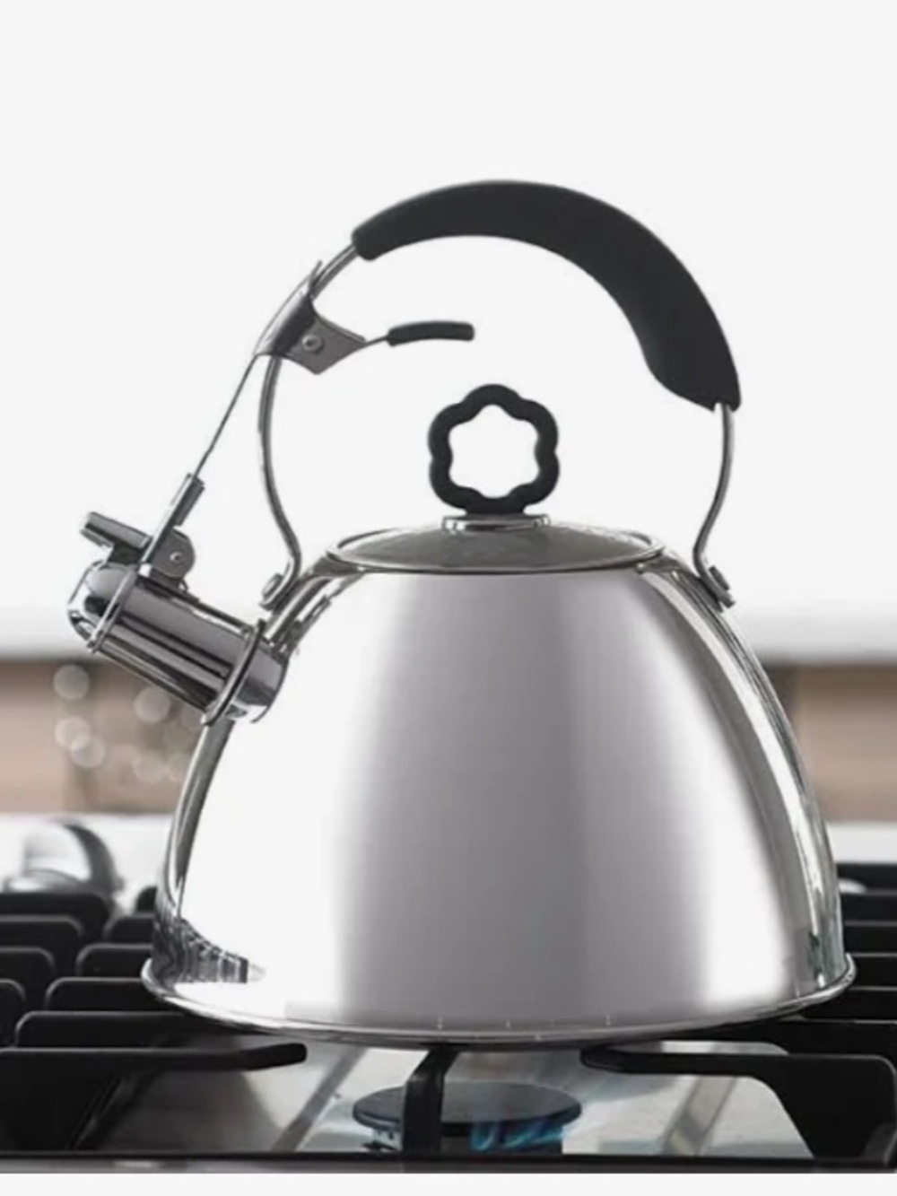 NWT Princess House Princess Heritage Stainless Steel Whistling Tea Kettle